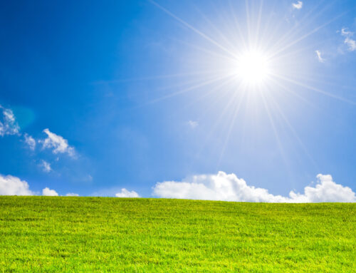 Jahreshauptversammlung